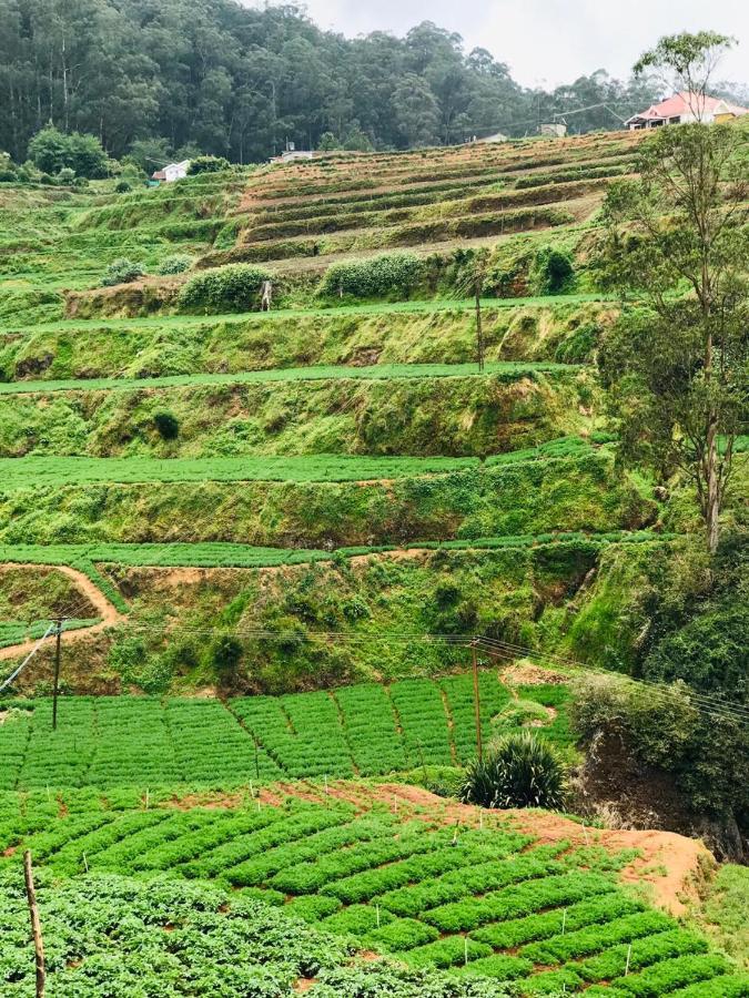 Mountain View Cottage Ooty Exterior foto